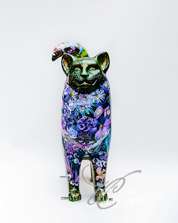 #31 Rainbow Garden Cat (2)