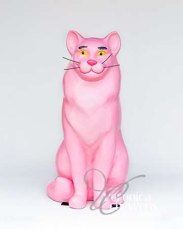 #20 Pink Panther