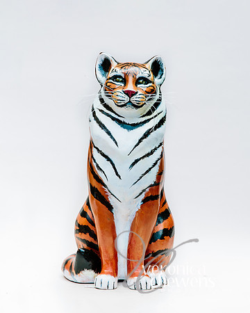 #52 Bengal Cat