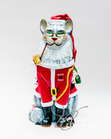 #17 Santa Paws