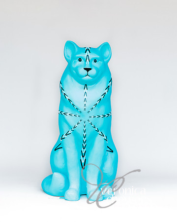 #37 Dizzy Kitty