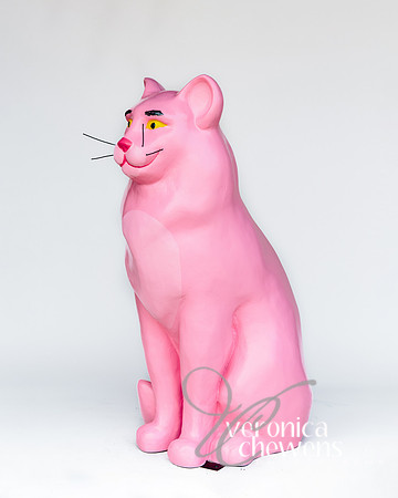 #20 Pink Panther (3)