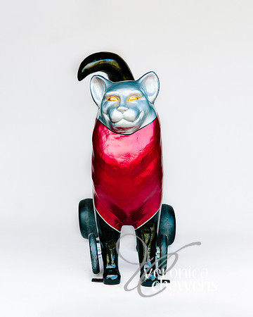 #21 Bad Kitty (3)