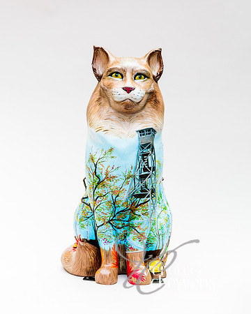#48 Fire Tower Cat