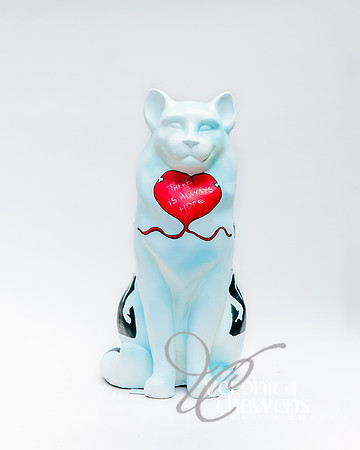 #6 Bankcatsy