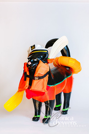 43 Kayak Cat (3)