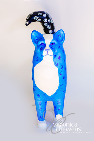 18 Delft Cat