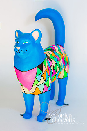 15 Gem of a Cat (3)