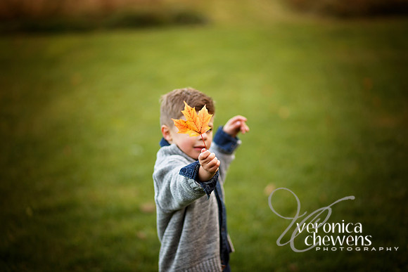 IMG_3910 copy