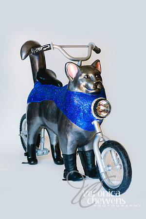 35 Motorcycle Cat (2)