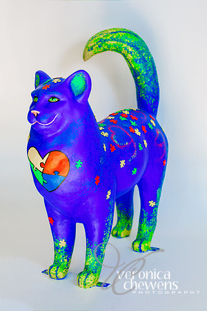 36 Autisti-cat (3)
