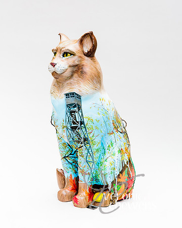 #48 Fire Tower Cat (3)