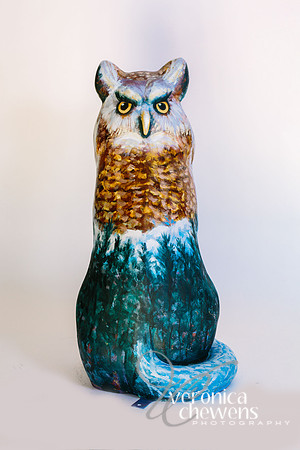 34 PURR-Owl (3)