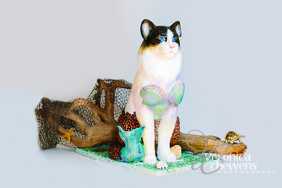 1 Cat-ch of the day
