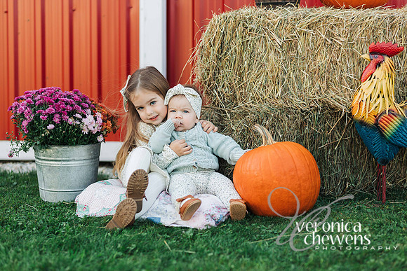 CHEW6317