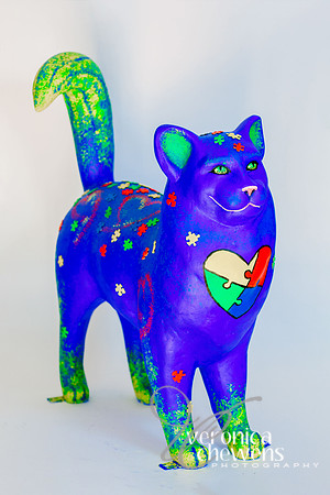 36 Autisti-cat (2)