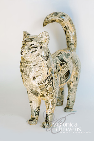 27 Cat-A-Log (2)