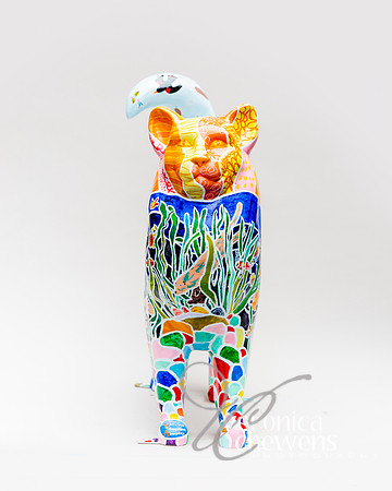 #15 CATtails (2)