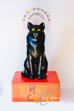 33 Le Chat Catskill