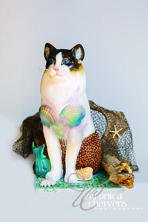 1 Cat-ch of the day (2)