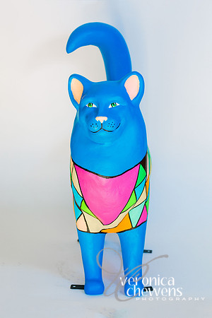 15 Gem of a Cat