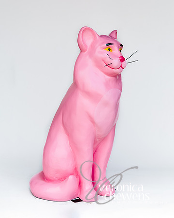 #20 Pink Panther (2)