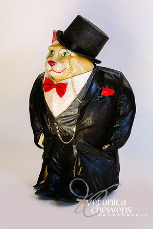 5 Banker Cat (3)