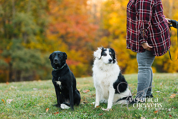 CHEW1282