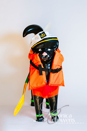 43 Kayak Cat (2)